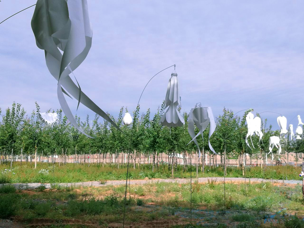 Image Slider