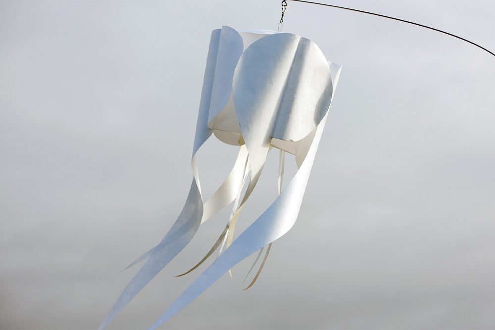 Windspiel Blüte Okraschote – skyflowers